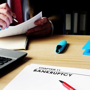 Individual Chapter 11 Bankruptcy Filing - Northbrook, IL